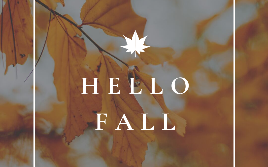 Cozy autumn home decor ideas with warm fall colors