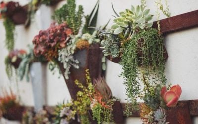 Bring nature indoors with organic design ideas for infusing