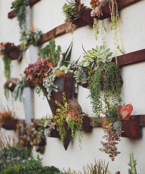 Bring nature indoors with organic design ideas for infusing