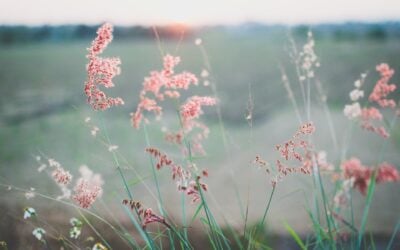 Top 3 home design trends you will love this spring